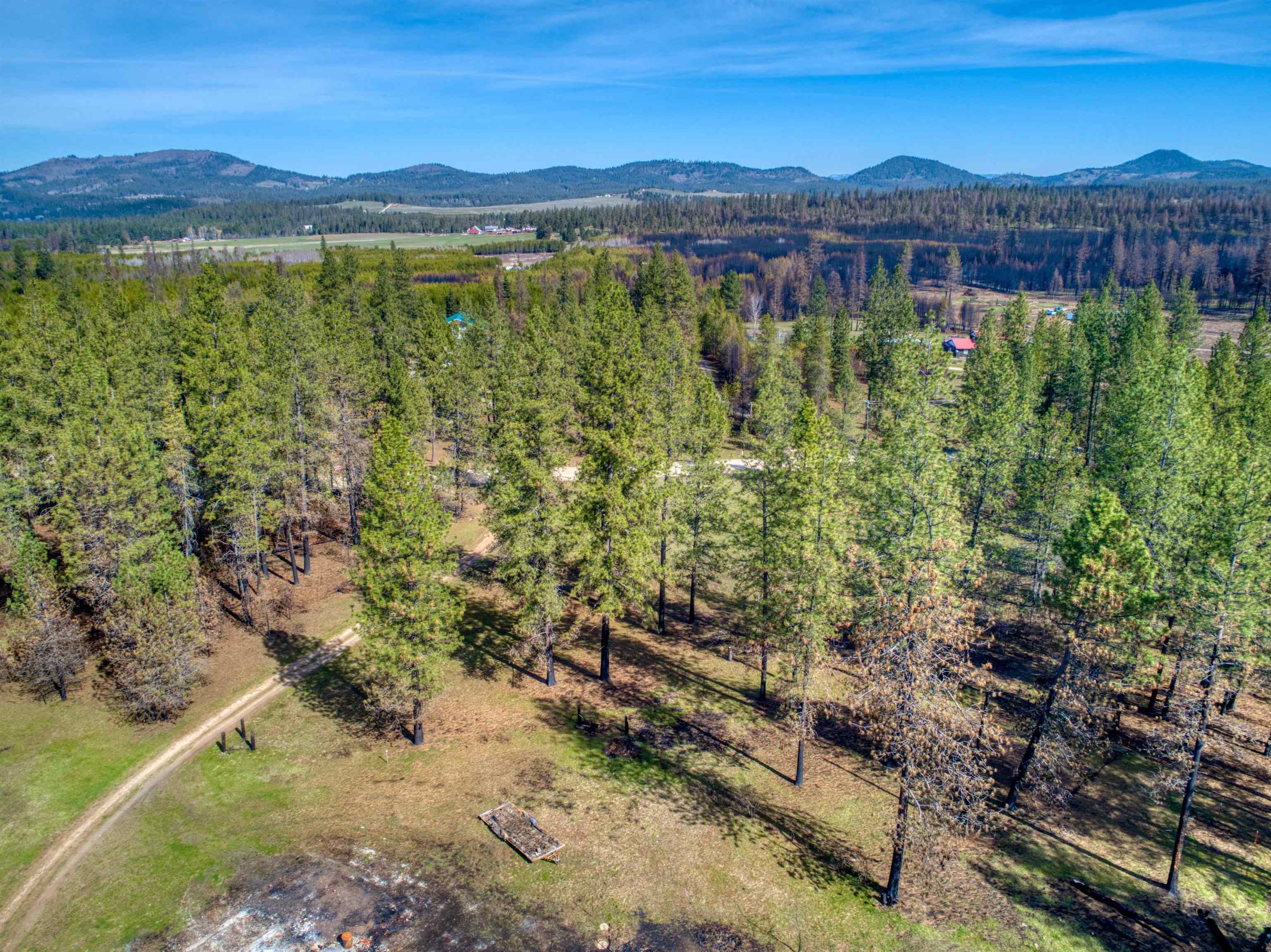13418 East Bridges Road Elk, WA 99009 - Photo 8 of 26