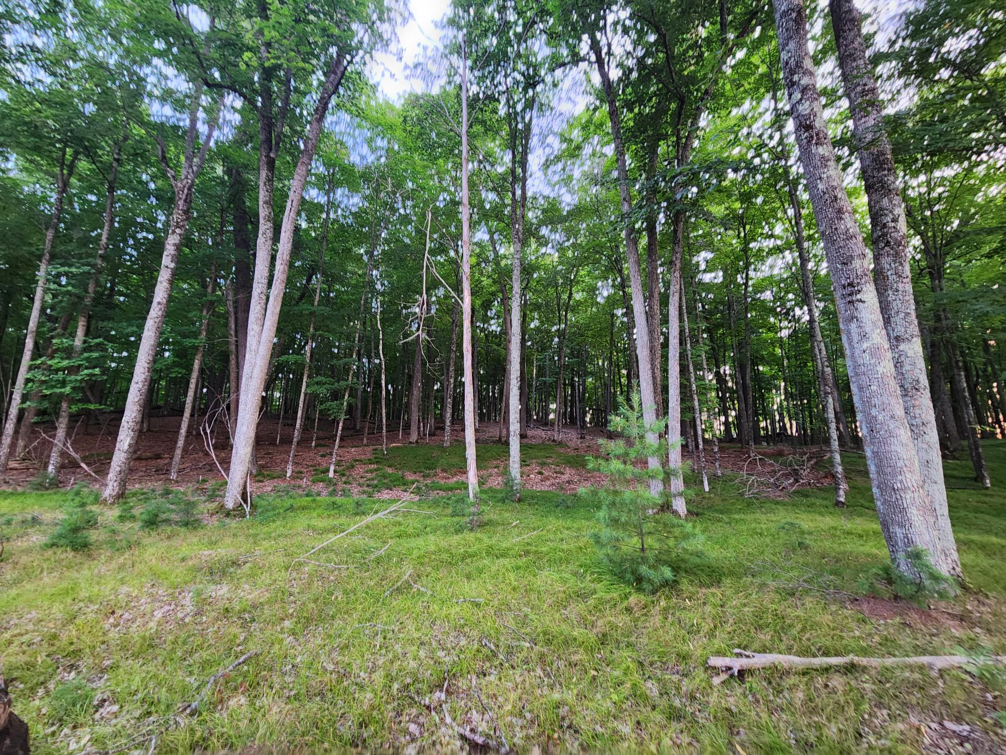 Lot 3 Big Ripley Island Minocqua, WI 54548 - Photo 10 of 20 Gallery Image 10