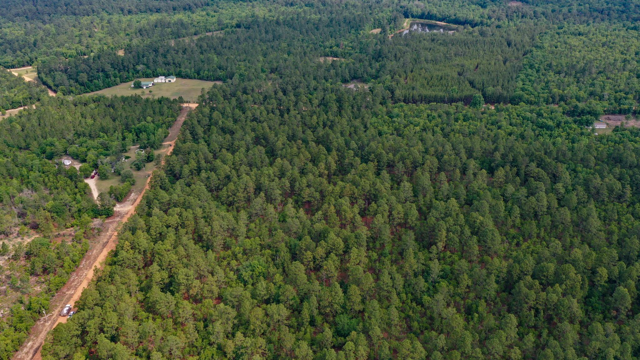 0 Webbs Pond Road Williston, SC 29853 - Photo 5 of 9