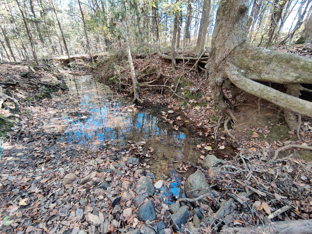 6266 Old Calhoun Falls Road Calhoun Falls, SC 29628 - Photo 21 of 33 Gallery Image 21