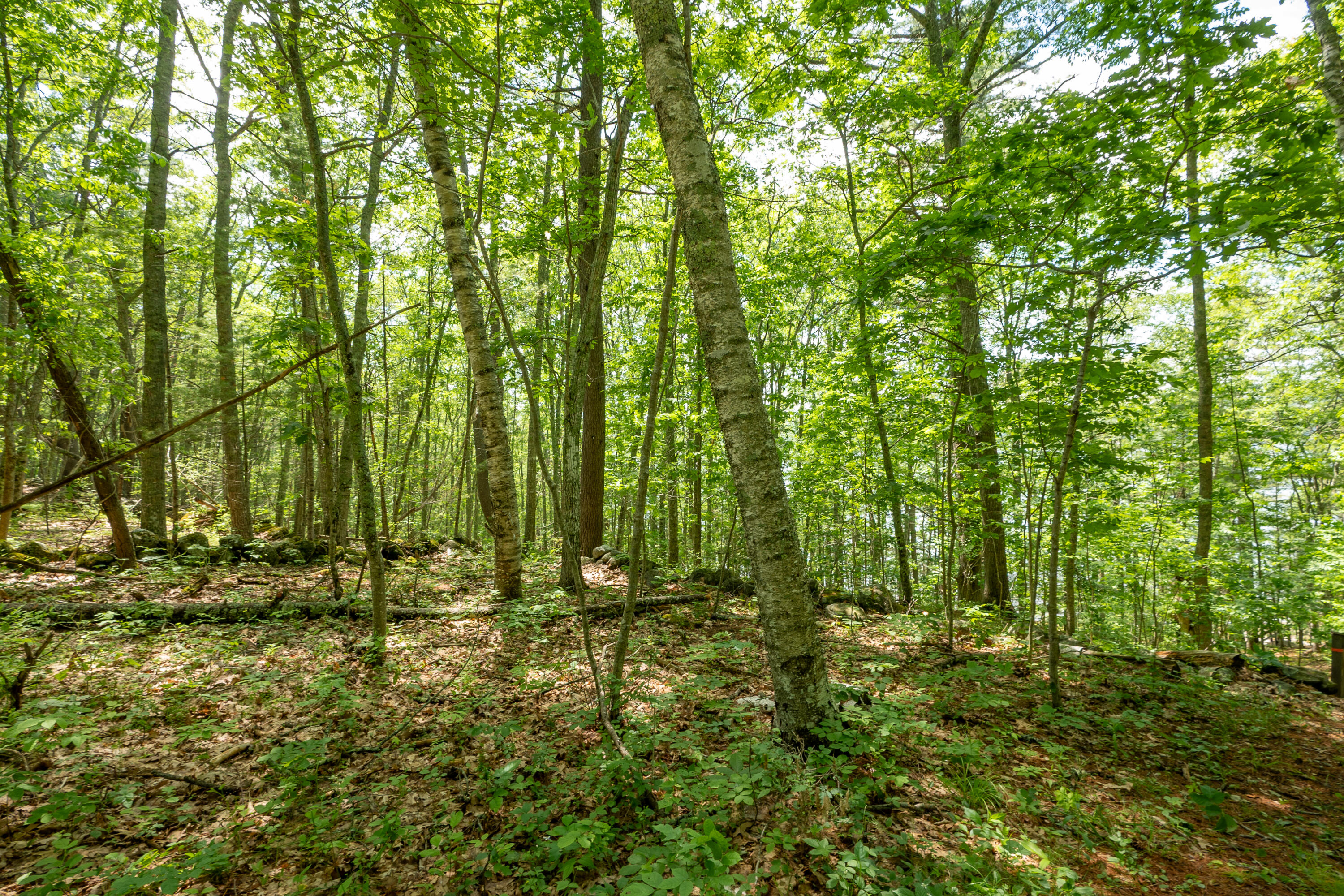 21 A Map 12 Lot21-a Bristol Road Bristol, ME 04539 - Photo 22 of 27 61-Near huston Ln-39