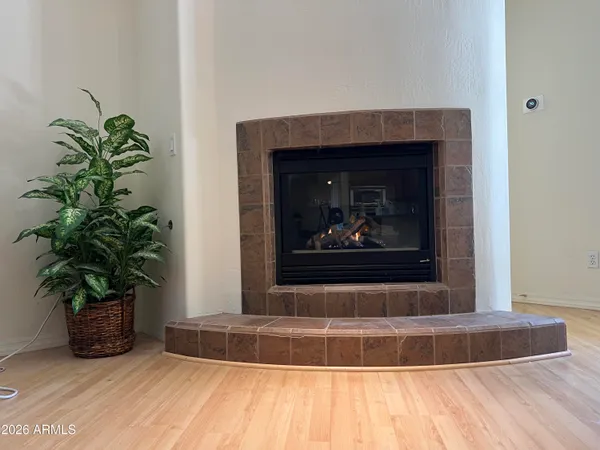 a view of a living room with a potted plant and a fireplace