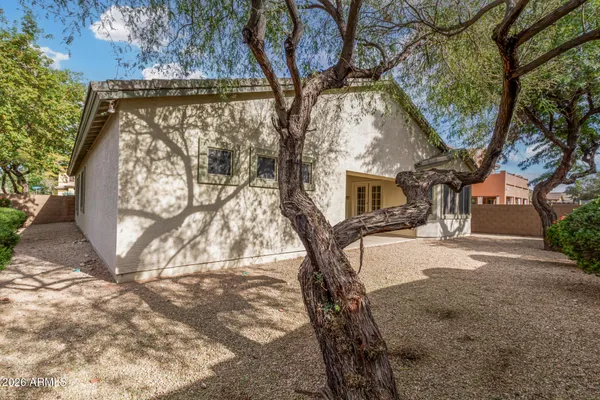 a view of a yard with a tree