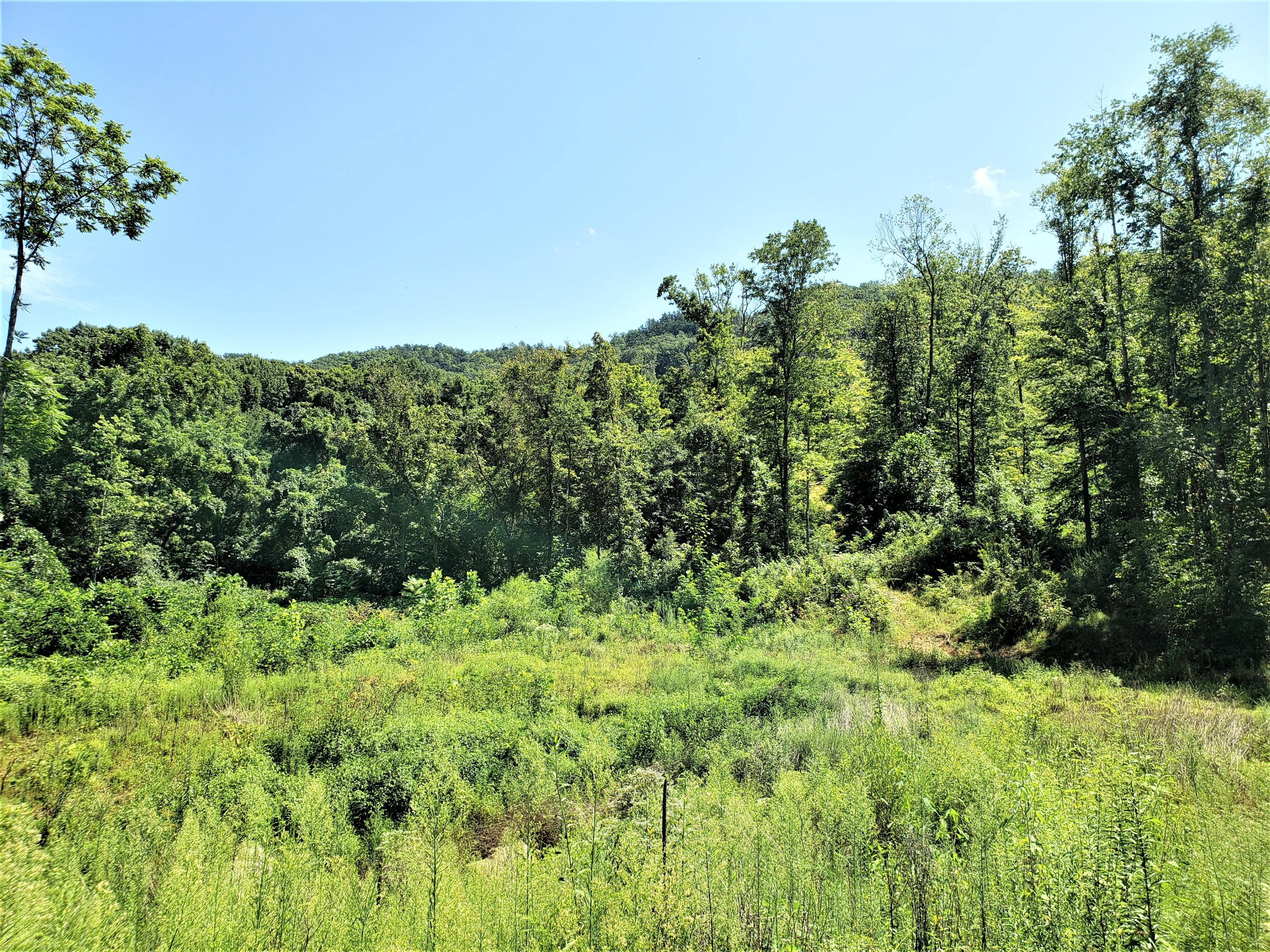 696 Devils Nose Road, Unit UN # Rogersville, TN 37857 - Photo 1 of 6 4