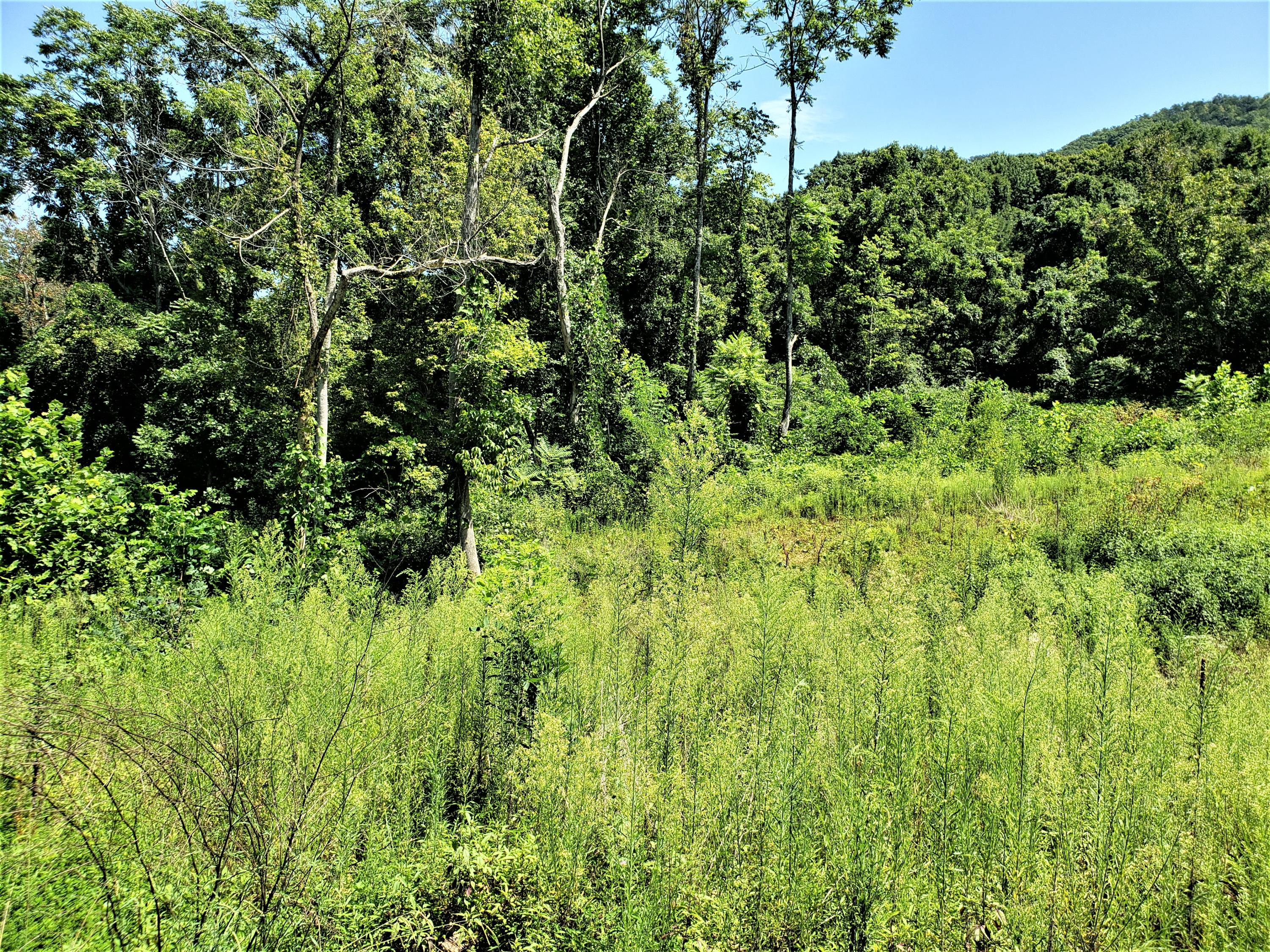 696 Devils Nose Road, Unit UN # Rogersville, TN 37857 - Photo 2 of 6 1