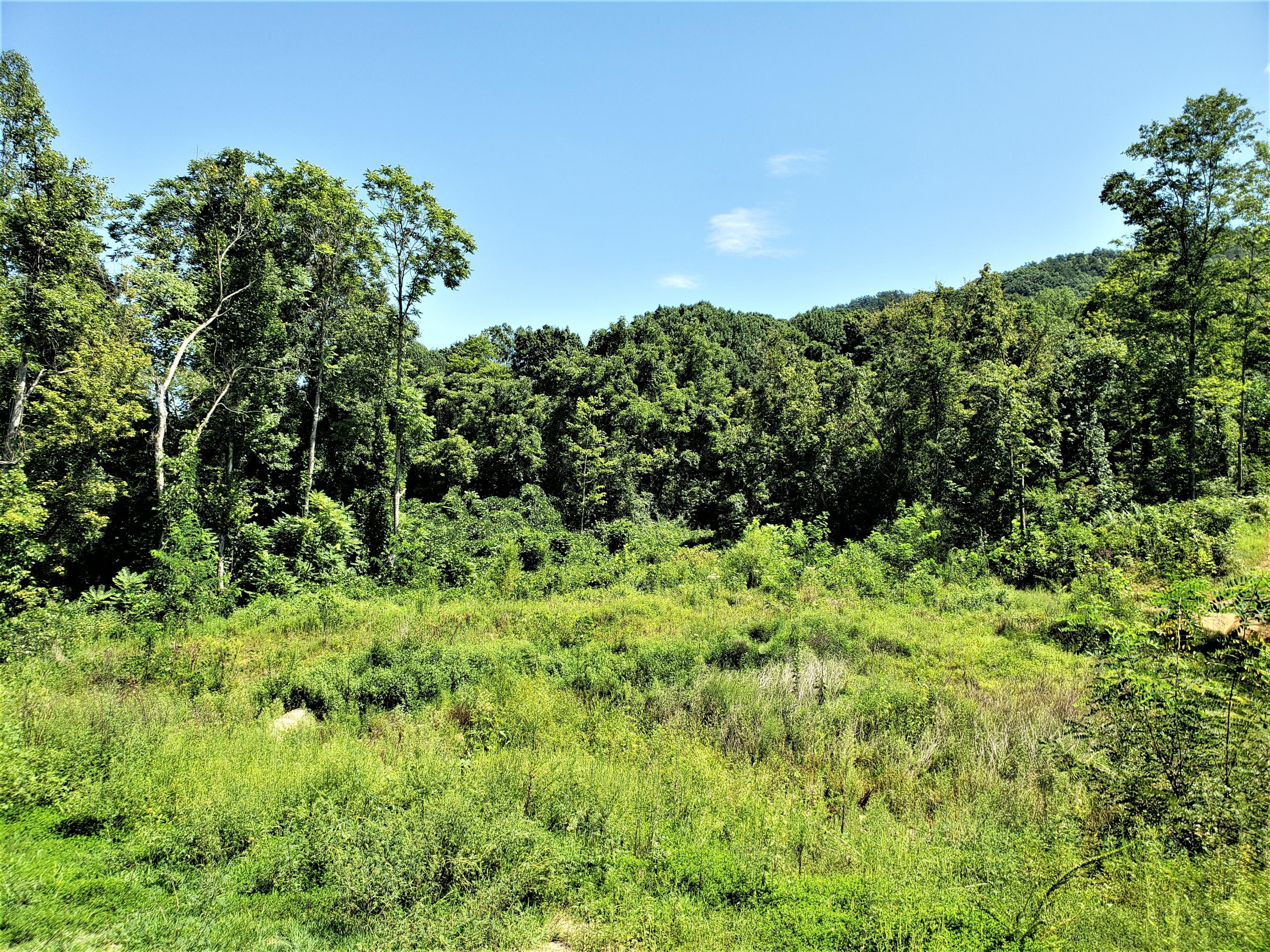696 Devils Nose Road, Unit UN # Rogersville, TN 37857 - Photo 3 of 6 2