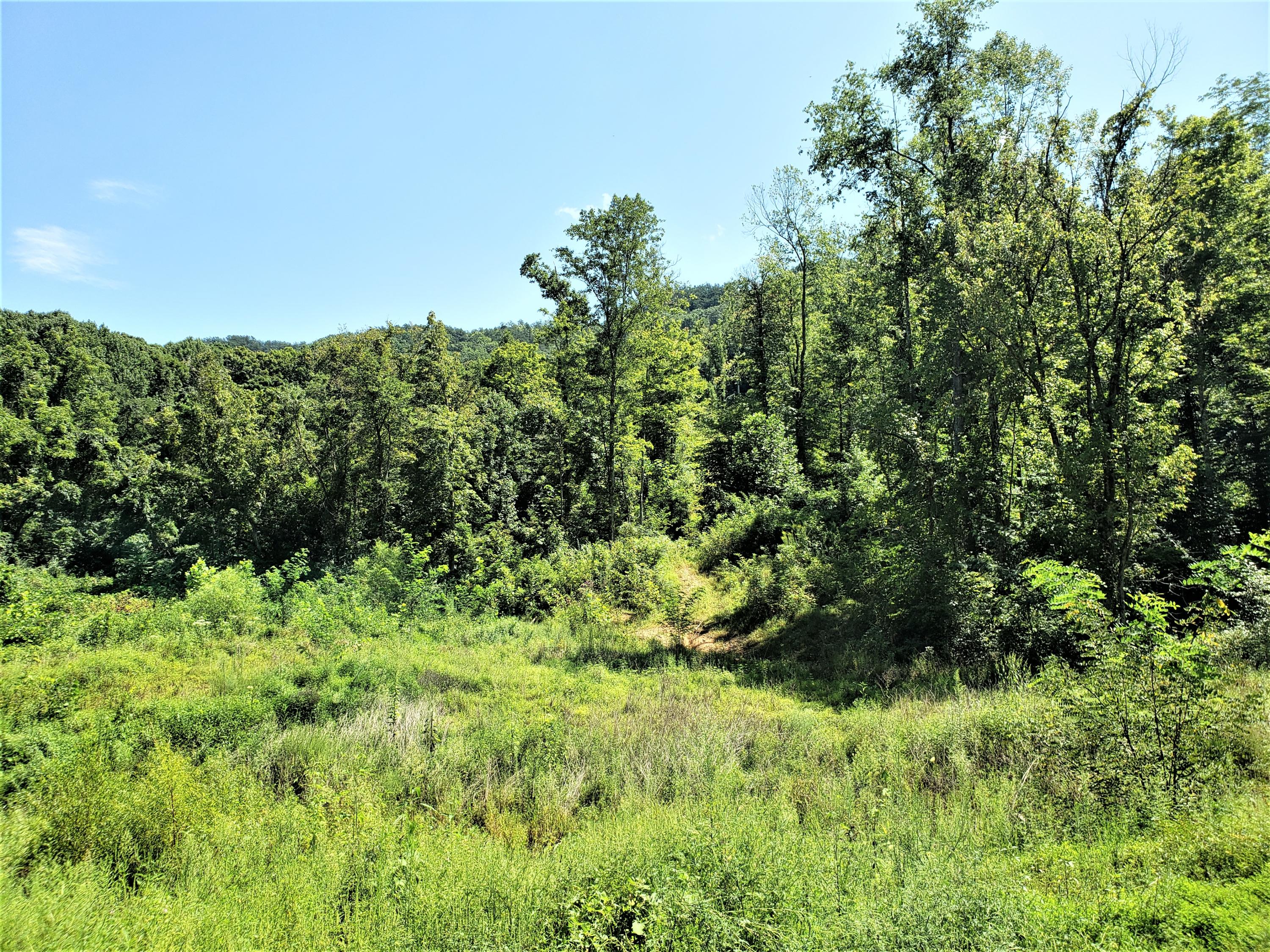 696 Devils Nose Road, Unit UN # Rogersville, TN 37857 - Photo 4 of 6 3
