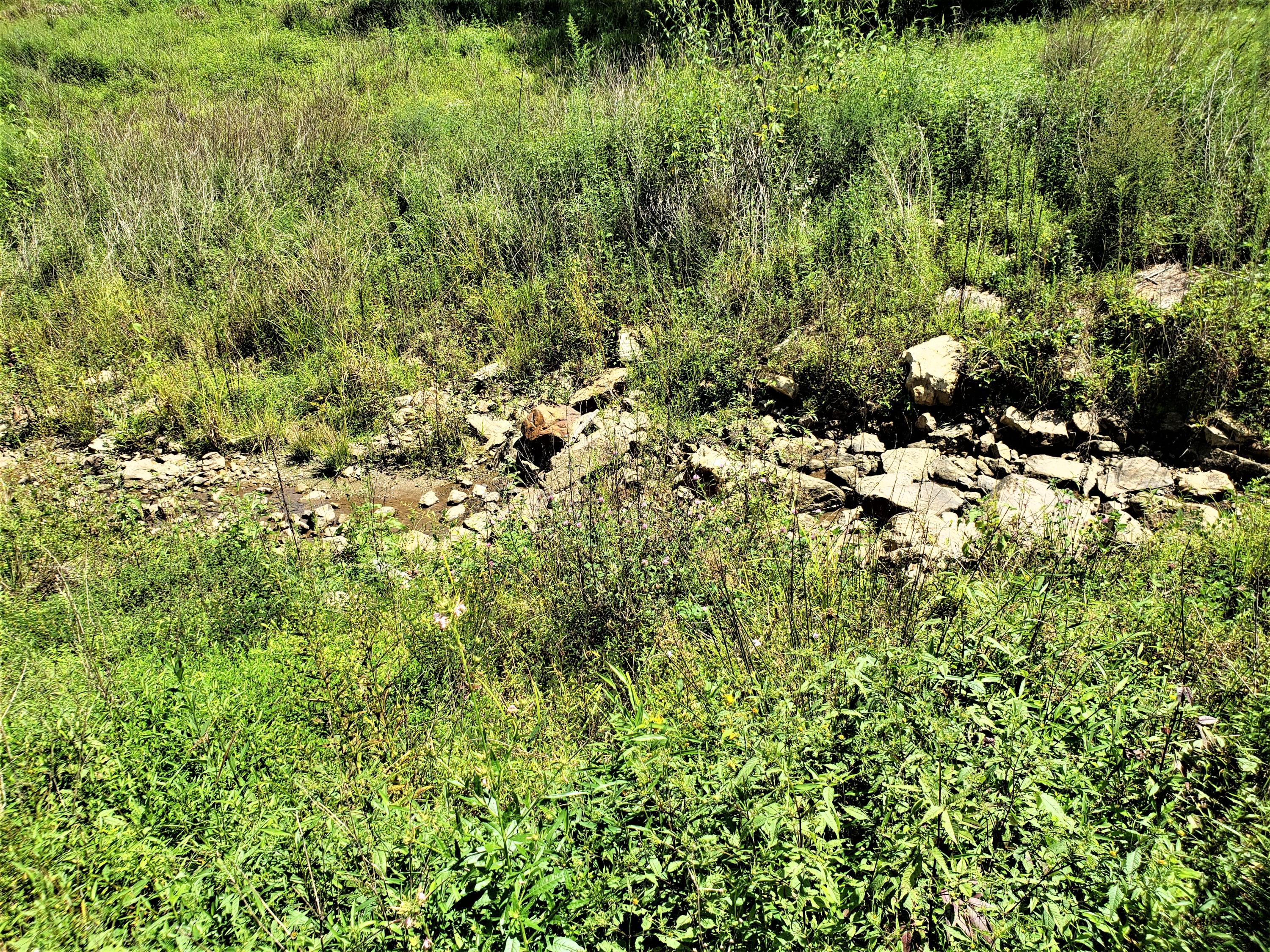 696 Devils Nose Road, Unit UN # Rogersville, TN 37857 - Photo 5 of 6 5
