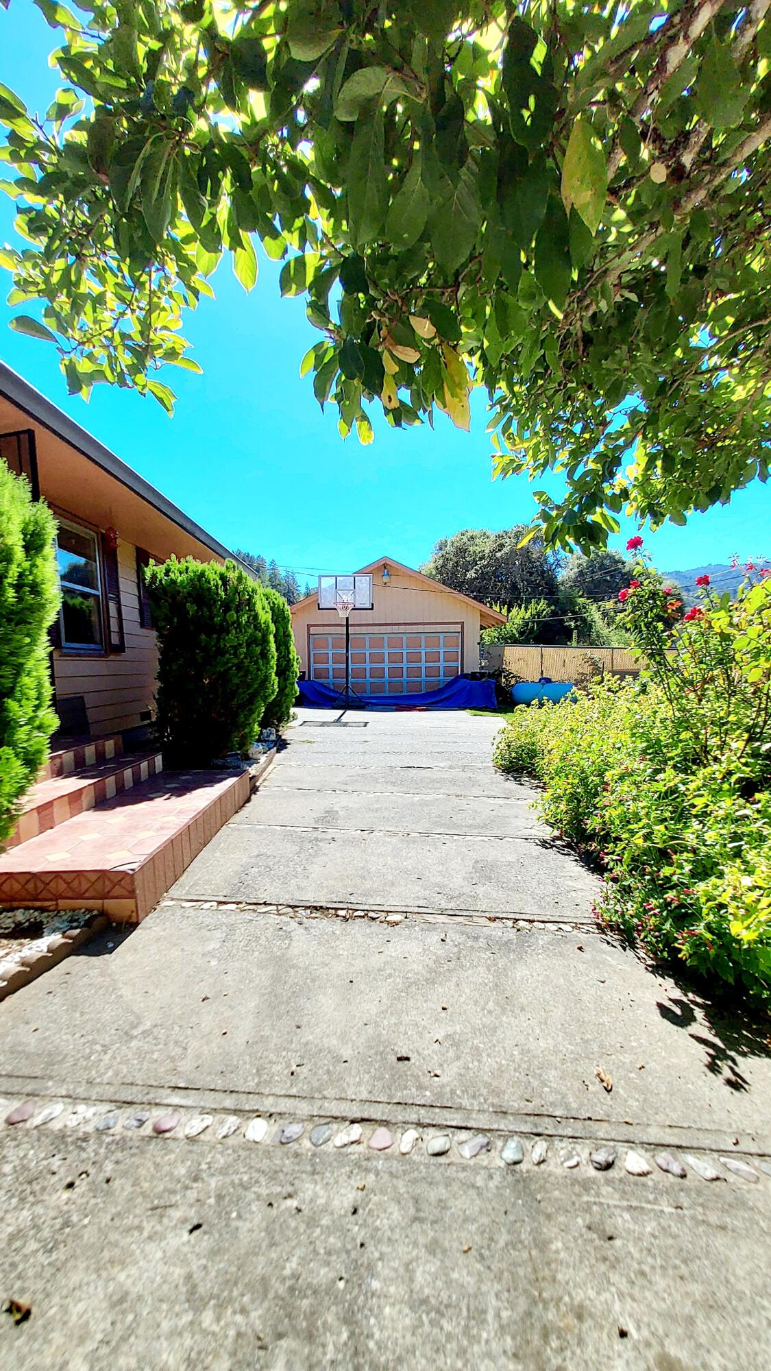 609 Steelhead Road Alderpoint, CA 95511 - Photo 49 of 58 Driveway/Garage Entrance