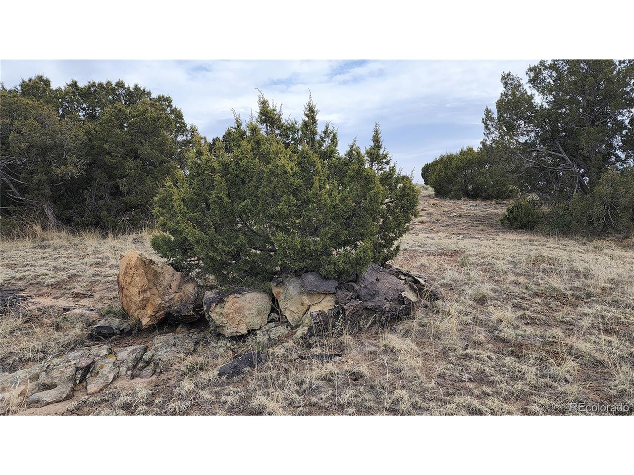 72 Turkey Ridge Ranch Walsenburg, CO 81089 - Photo 12 of 40 a open area with trees in the background