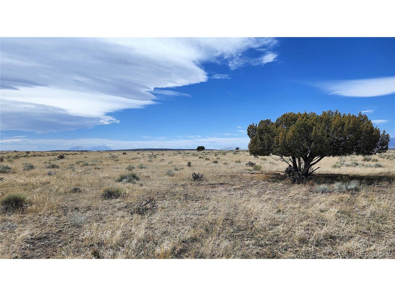 72 Turkey Ridge Ranch Walsenburg, CO 81089 - Photo 19 of 40 a view of a dry yard with wooden fence