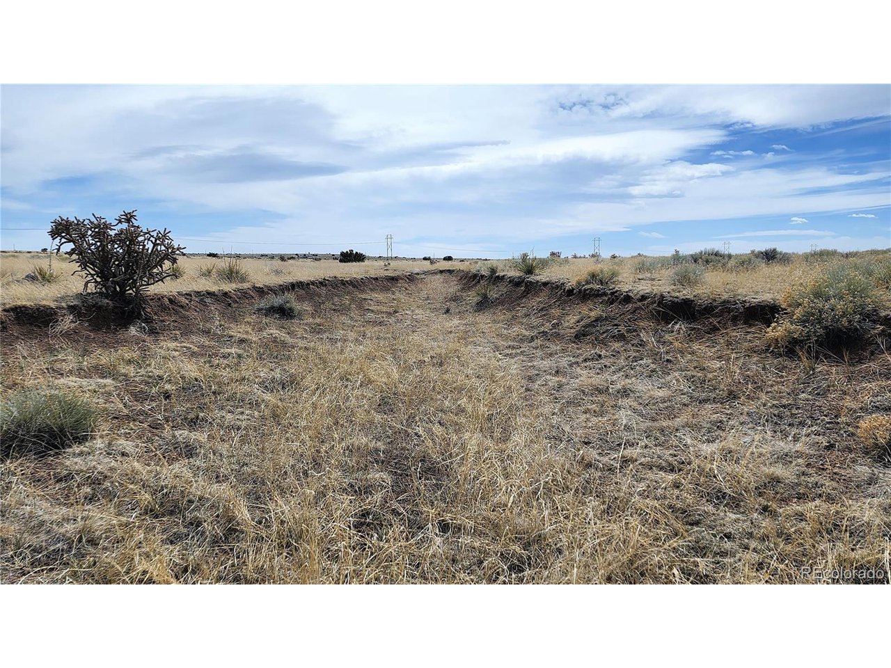 72 Turkey Ridge Ranch Walsenburg, CO 81089 - Photo 20 of 40 a open area with lots of trees