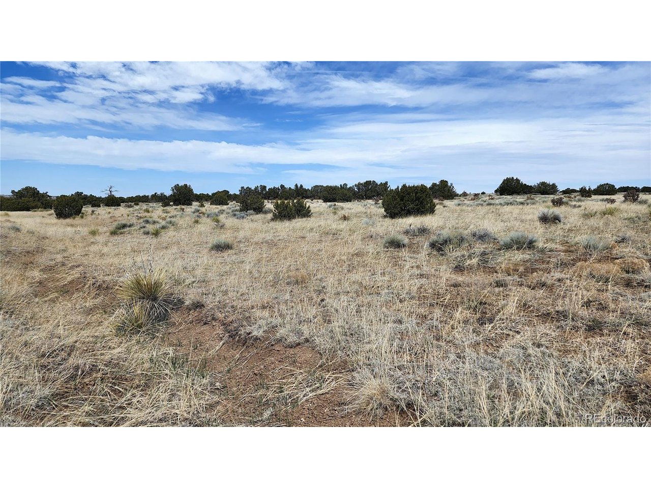 72 Turkey Ridge Ranch Walsenburg, CO 81089 - Photo 22 of 40 a open area with trees in the background