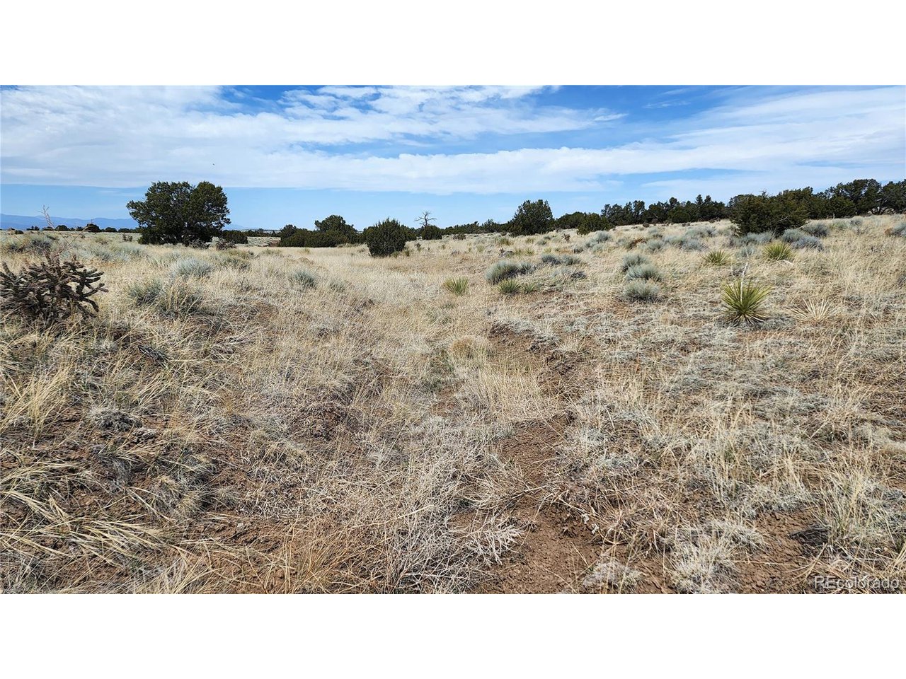 72 Turkey Ridge Ranch Walsenburg, CO 81089 - Photo 23 of 40