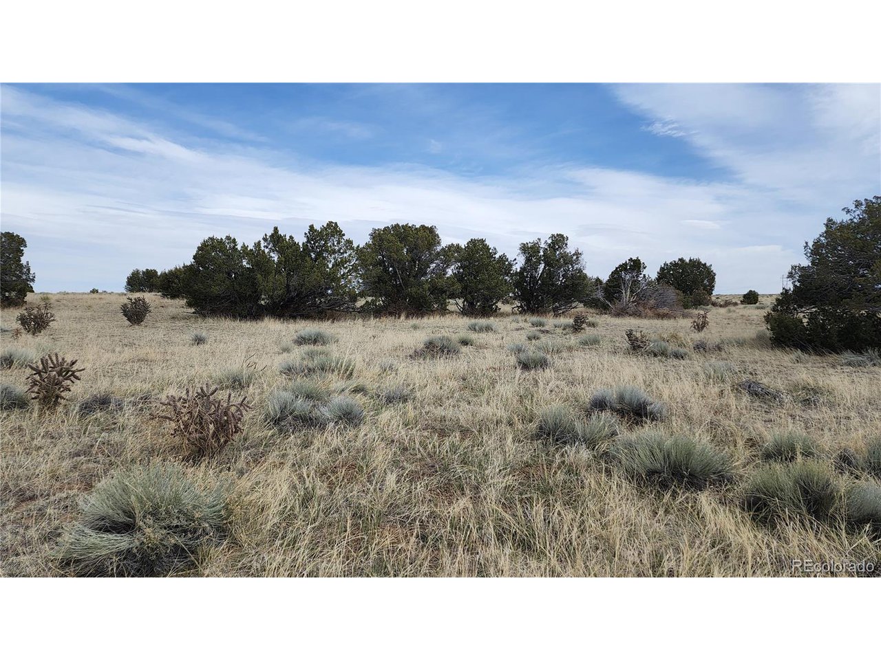 72 Turkey Ridge Ranch Walsenburg, CO 81089 - Photo 25 of 40 a black and white photo of a field