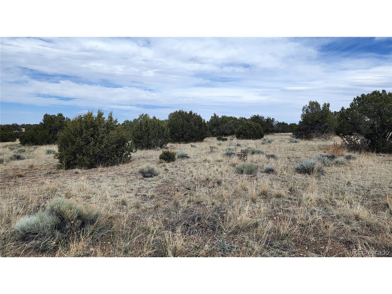 72 Turkey Ridge Ranch Walsenburg, CO 81089 - Photo 30 of 40 a open area with mountains in the background