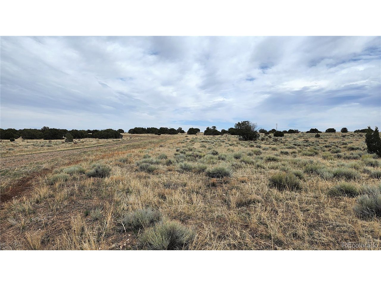 72 Turkey Ridge Ranch Walsenburg, CO 81089 - Photo 38 of 40 a open area with trees in the background