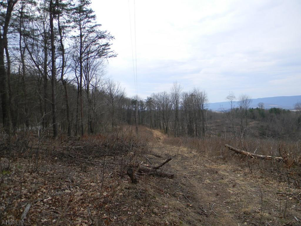 651 Douglas Road Hopewell, PA 16650 - Photo 12 of 18 Gallery Image 12