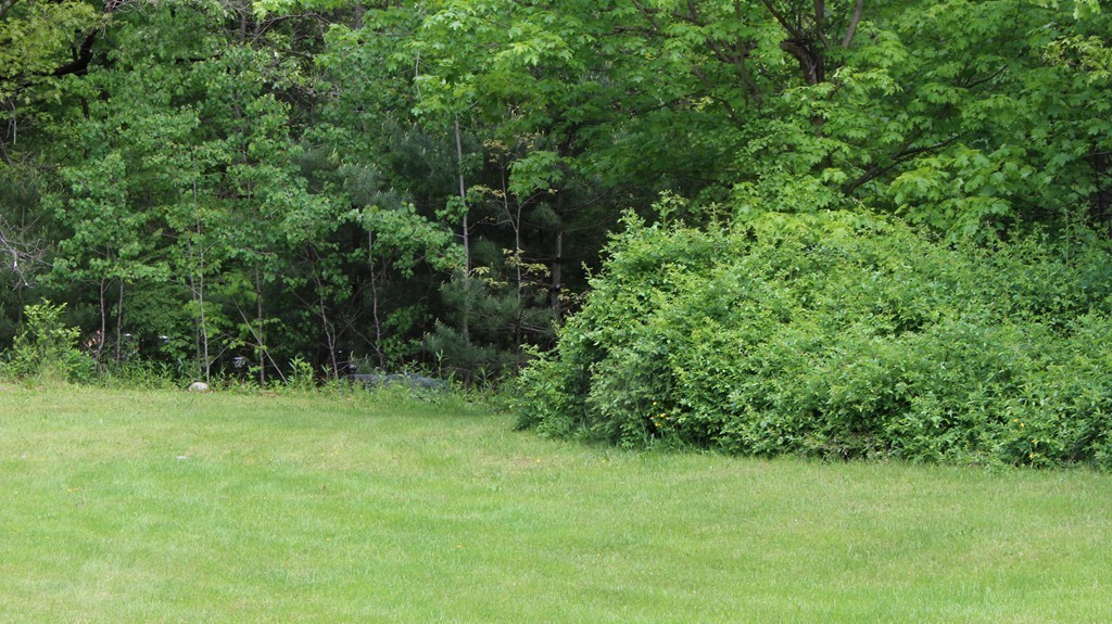 3 Crow Hill Road Monson, MA 01057 - Photo 21 of 28