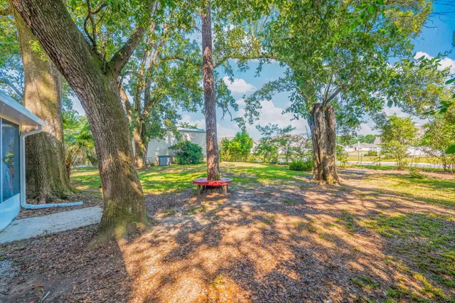 a view of a house with backyard and tree
