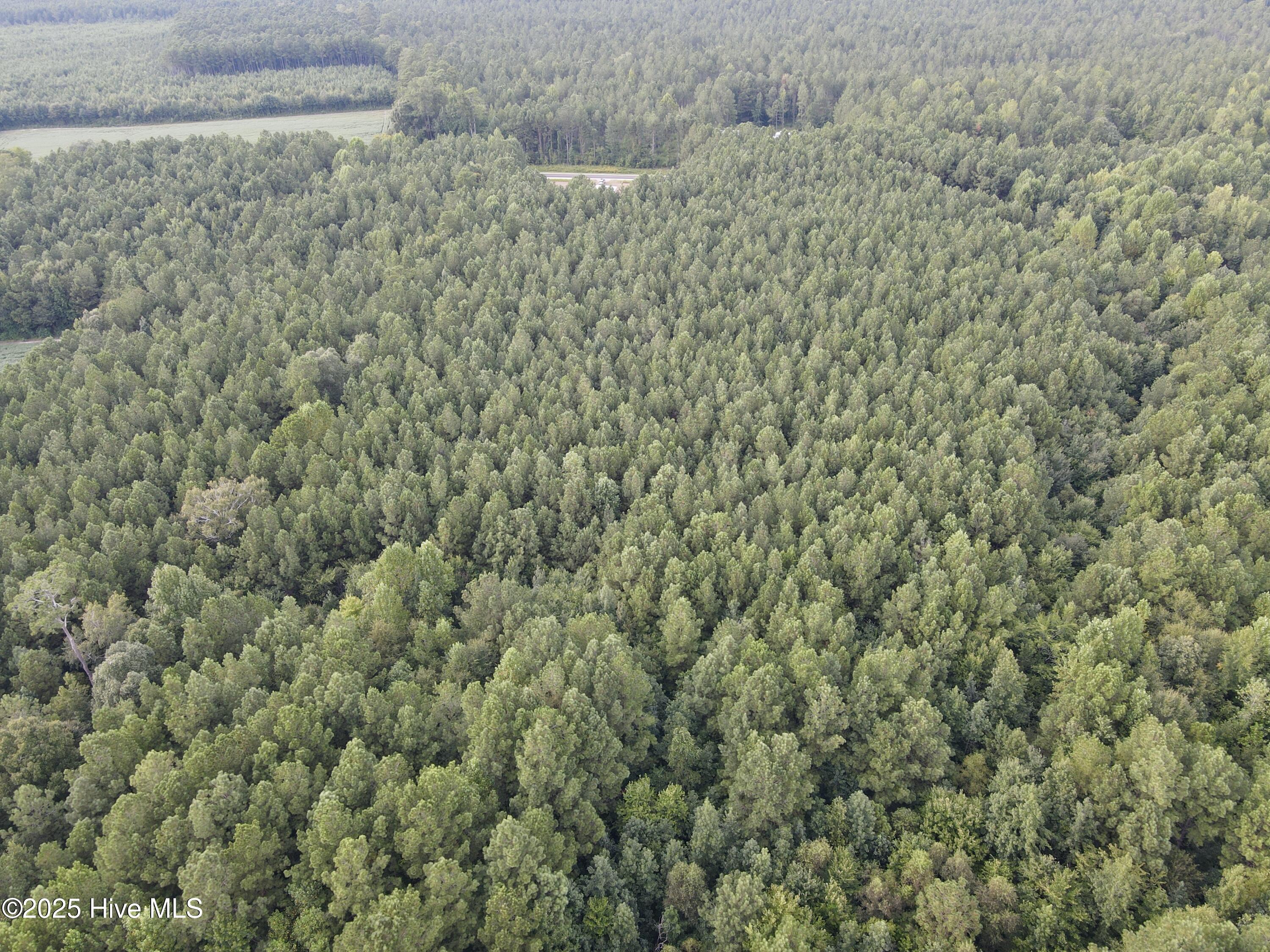 1900 J T Heath Road Williamston, NC 27892 - Photo 7 of 15 Back View looking towards road