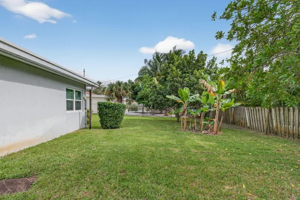 a view of a backyard with large trees and wooden fence