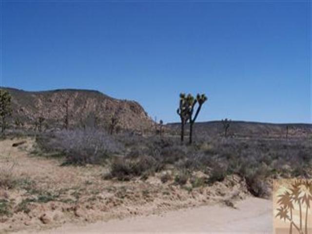 Primary Photo