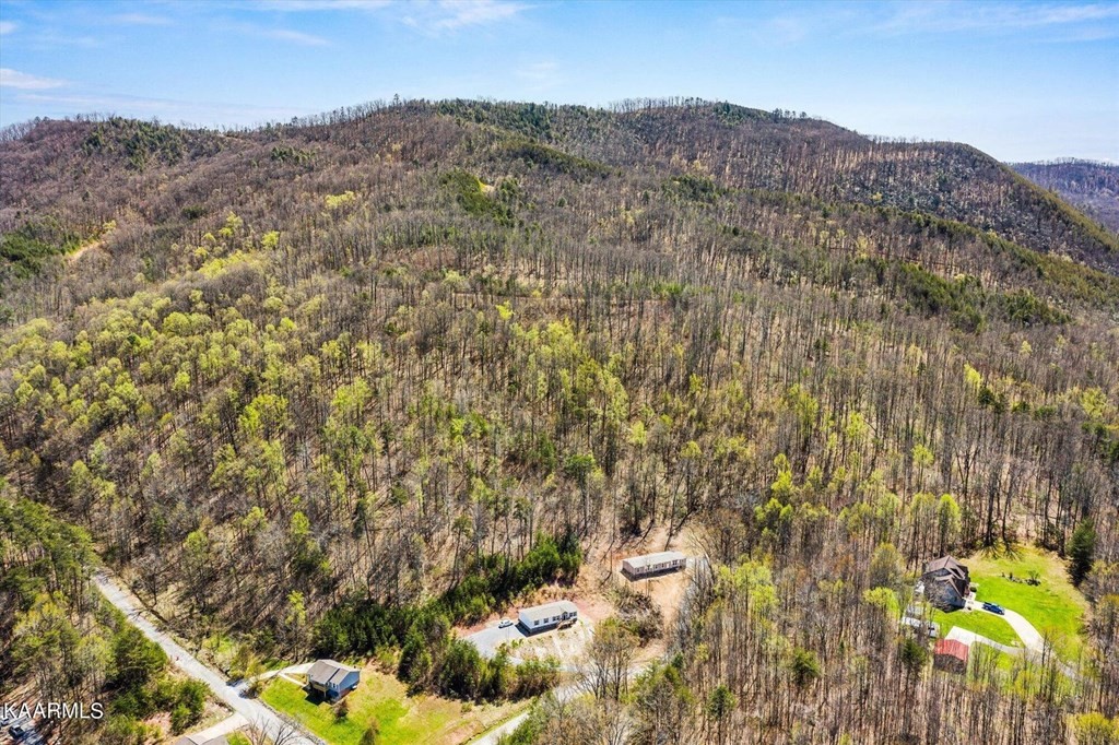 1358 Bluets Road Newport, TN 37821 - Photo 26 of 29 Gallery Image 26