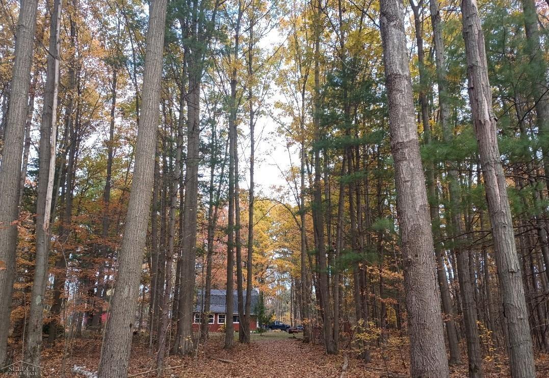 7241 Bryce Road North Street, MI 48049 - Photo 53 of 64 Gallery Image 53