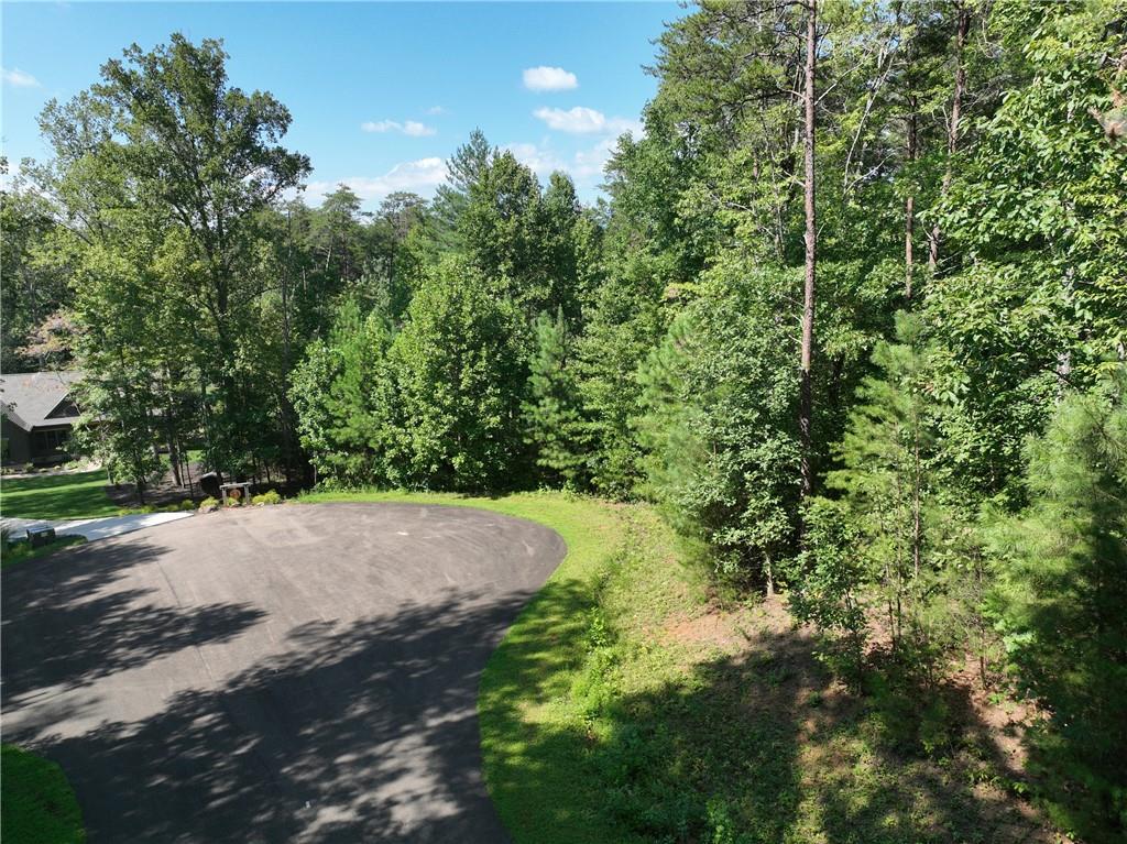 142 R Autumn Fern Lane Ellijay, GA 30536 - Photo 2 of 33 Gallery Image 2