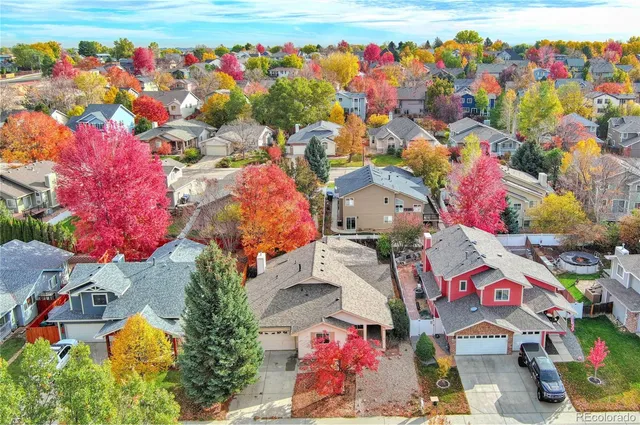 a view of yard and swimming pool