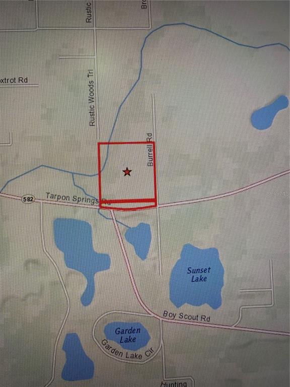 11819 Tarpon Springs Road Odessa, FL 33556 - Photo 3 of 7