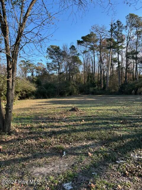 249 Ottis Miller Road Beulaville, NC 28518 - Photo 11 of 18 tempImageErZkE8