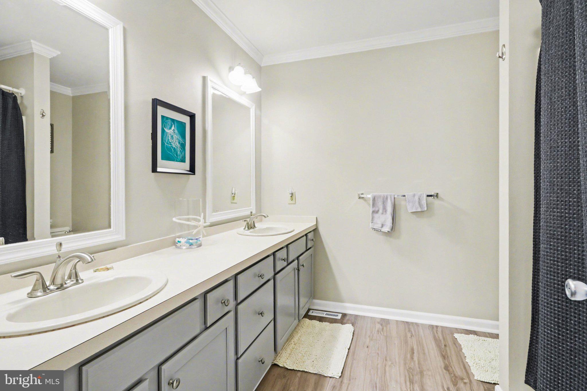 652 Springhouse Lane Hummelstown, PA 17036 - Photo 20 of 35 a bathroom with a sink a mirror and a shower
