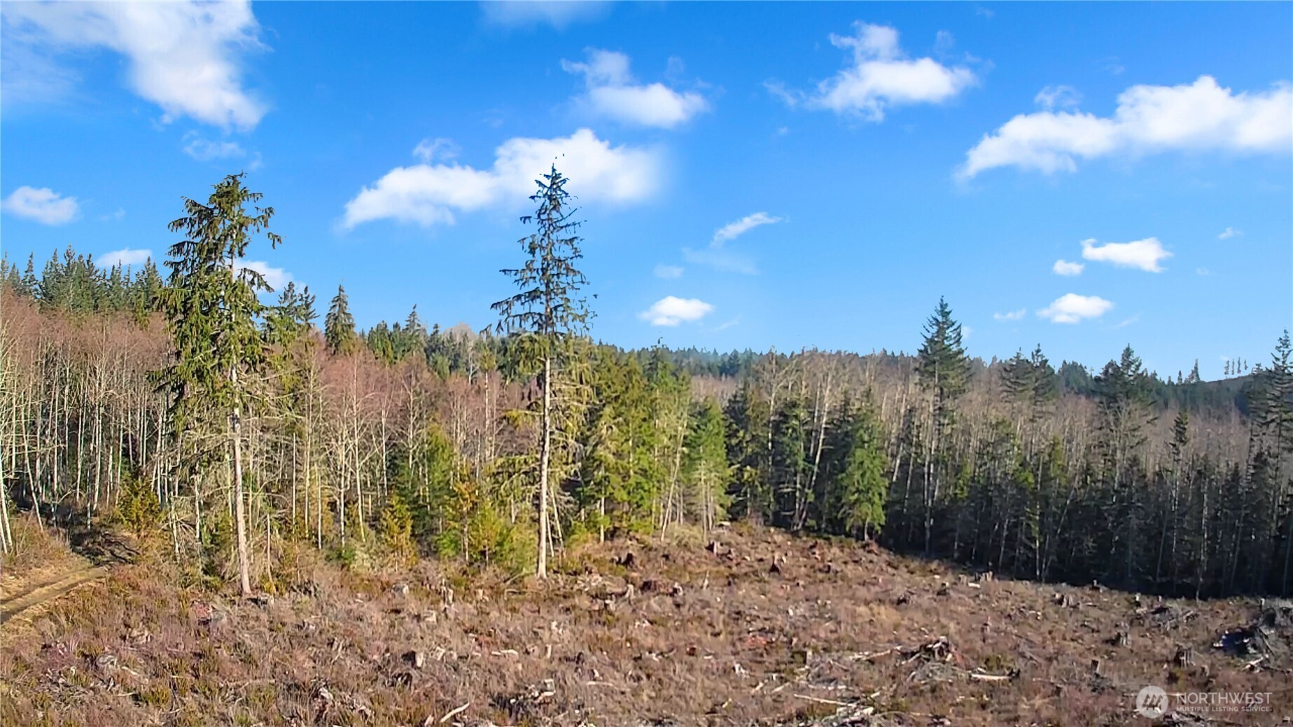 0 B-1000 Road Sequim, WA 98382 - Photo 8 of 16