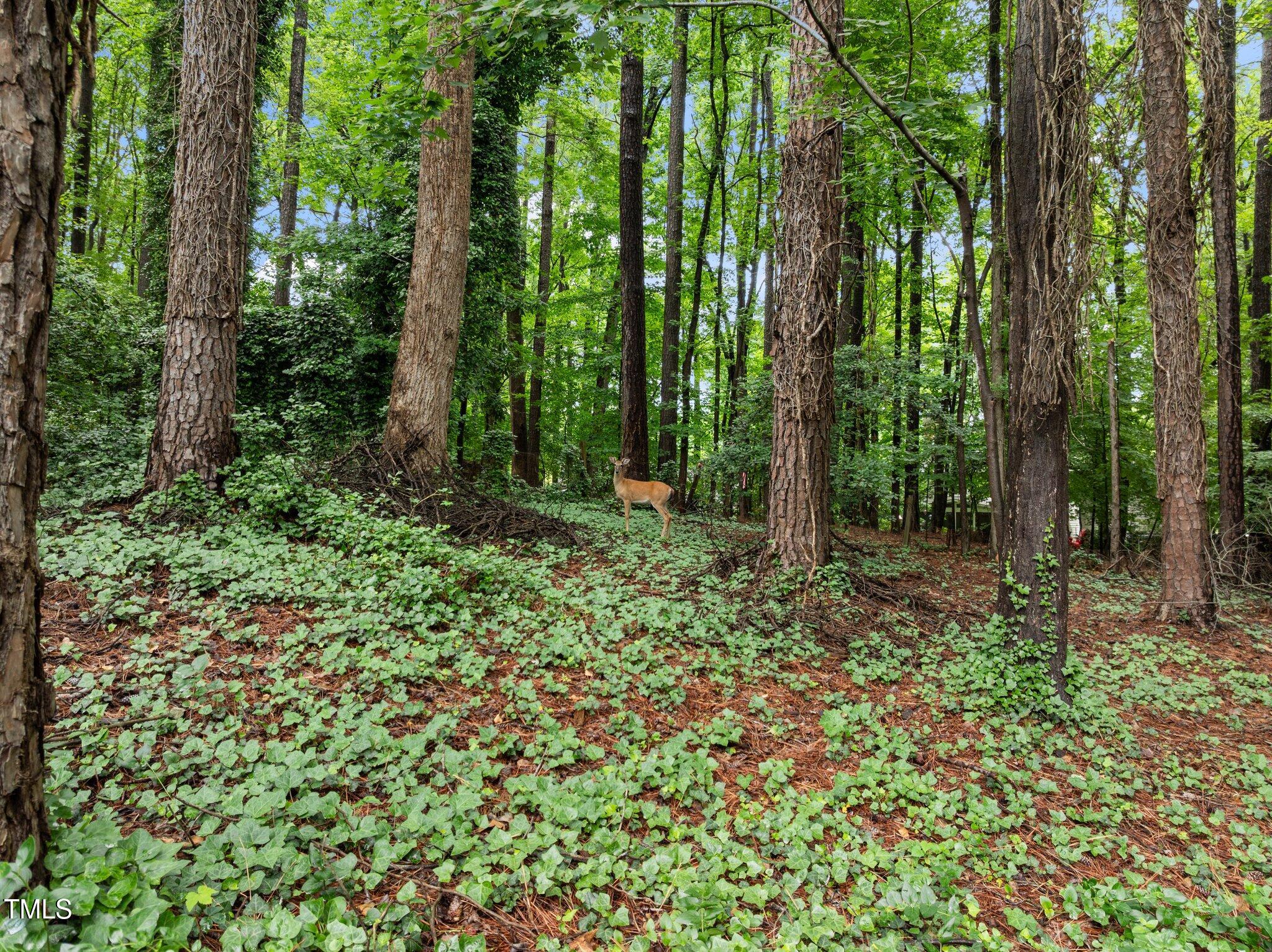 1706 Rangecrest Road Raleigh, NC 27612 - Photo 33 of 43 a view of outdoor space and green space