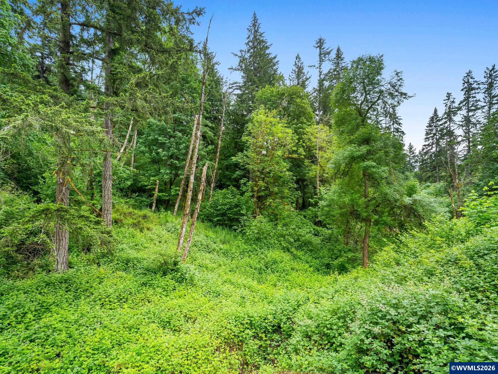 16110 South Maplelane Road Oregon City, OR 97045 - Photo 47 of 48 Gallery Image 47
