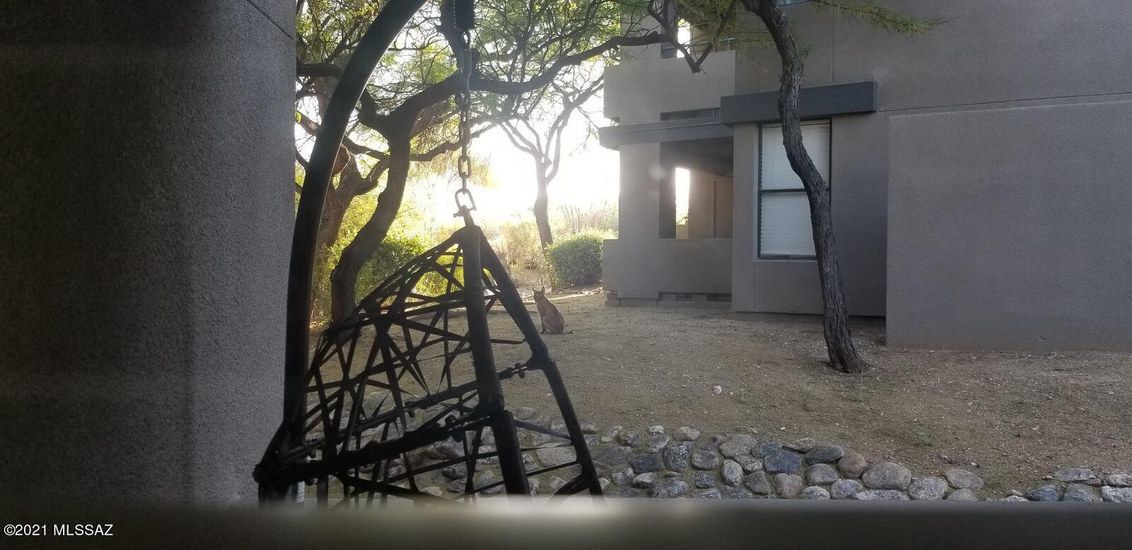 5855 North Kolb Road North, Unit 4101 Tucson, AZ 85750 - Photo 10 of 31