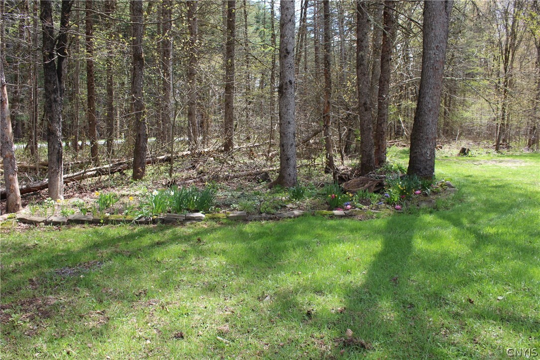 10983 River Road Florence, NY 13316 - Photo 12 of 50 more rock gardens