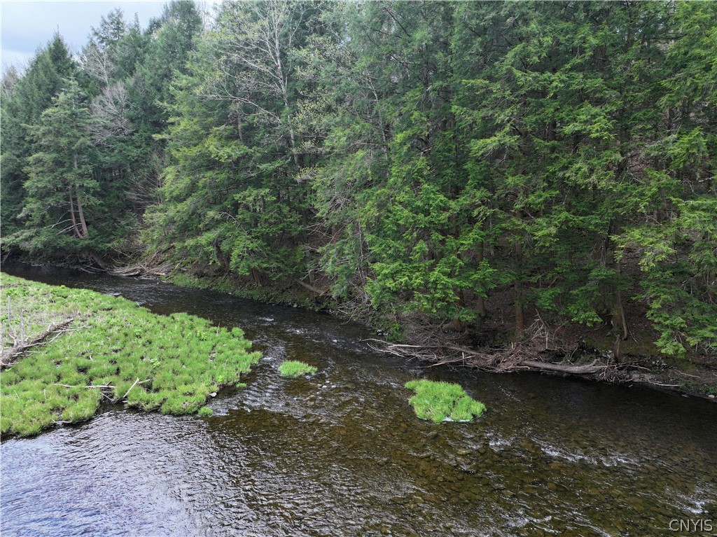10983 River Road Florence, NY 13316 - Photo 47 of 50
