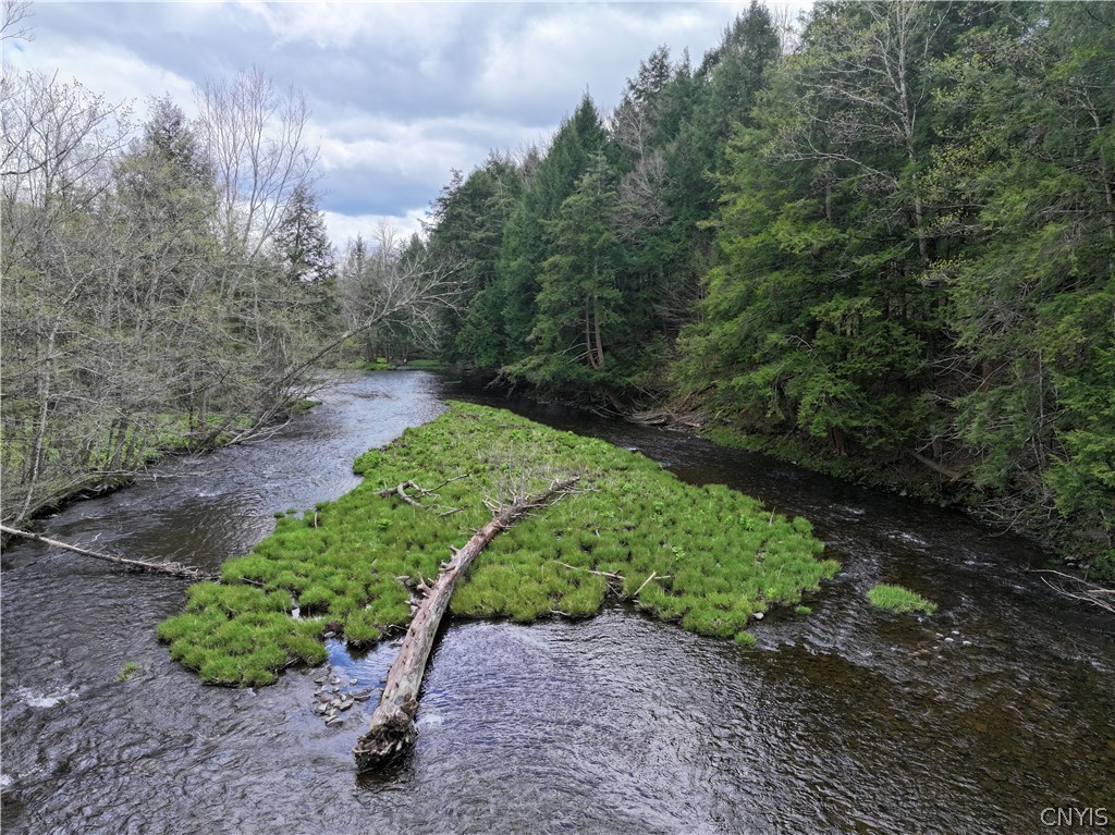 10983 River Road Florence, NY 13316 - Photo 48 of 50