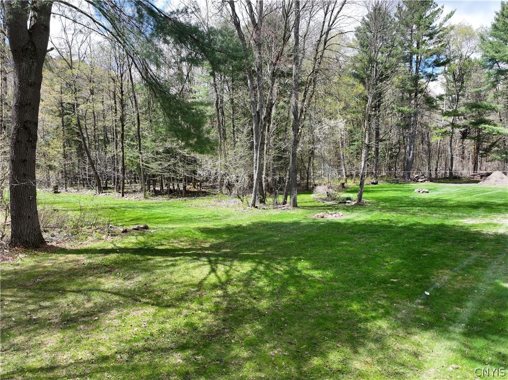 10983 River Road Florence, NY 13316 - Photo 10 of 50 Park-like backyard