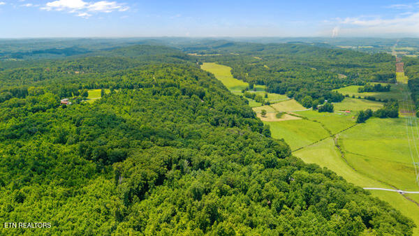 1913 Dry Fork Valley Road Philadelphia, TN 37846 - Photo 5 of 12 IMG_5763