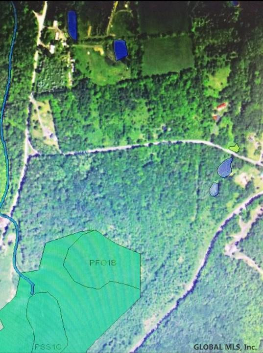 48 Stevens Road Rensselaerville, NY 12147 - Photo 10 of 10 Photo 10