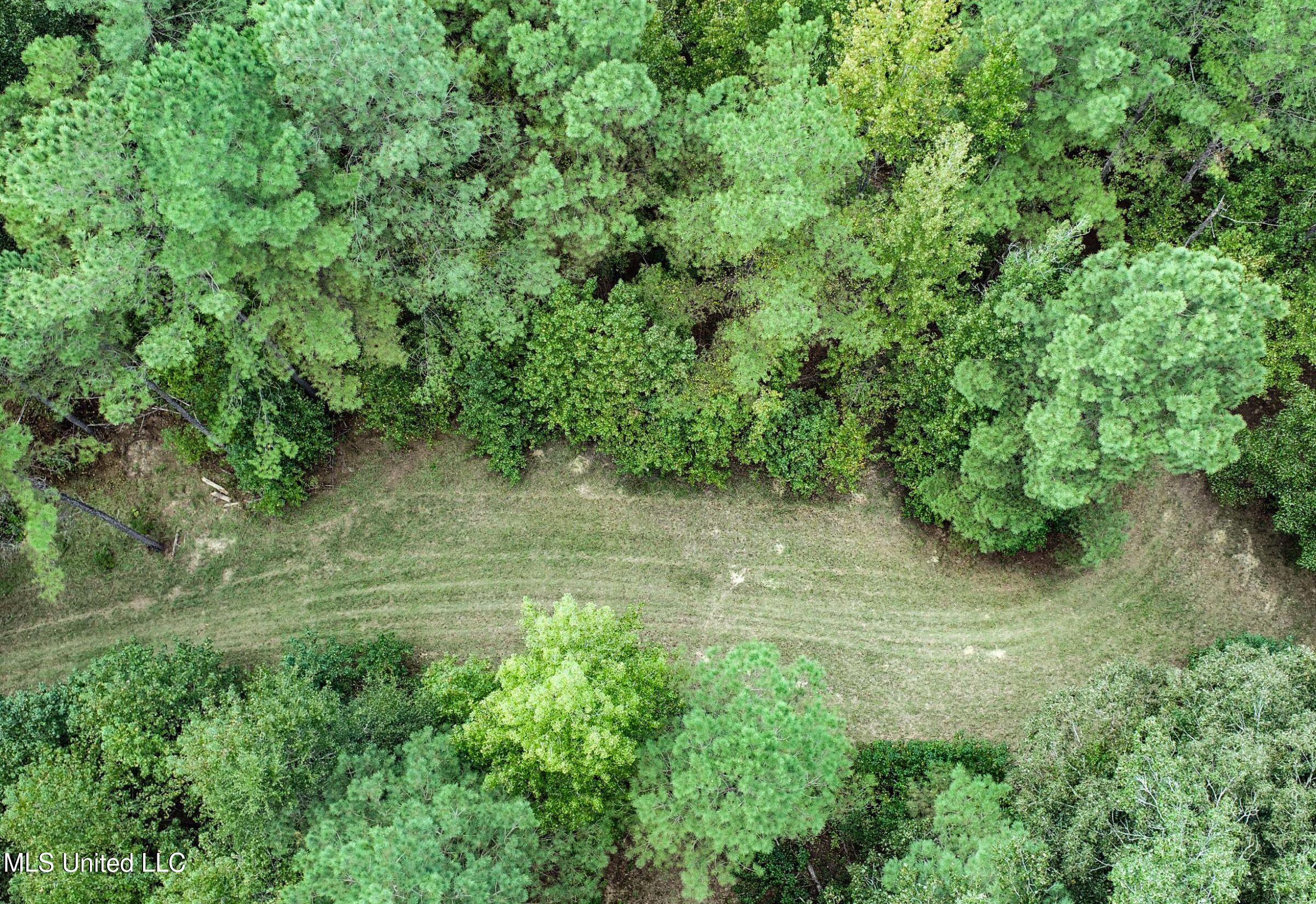 2378 John Warren Road Bolton, MS 39041 - Photo 12 of 153 3hinds14