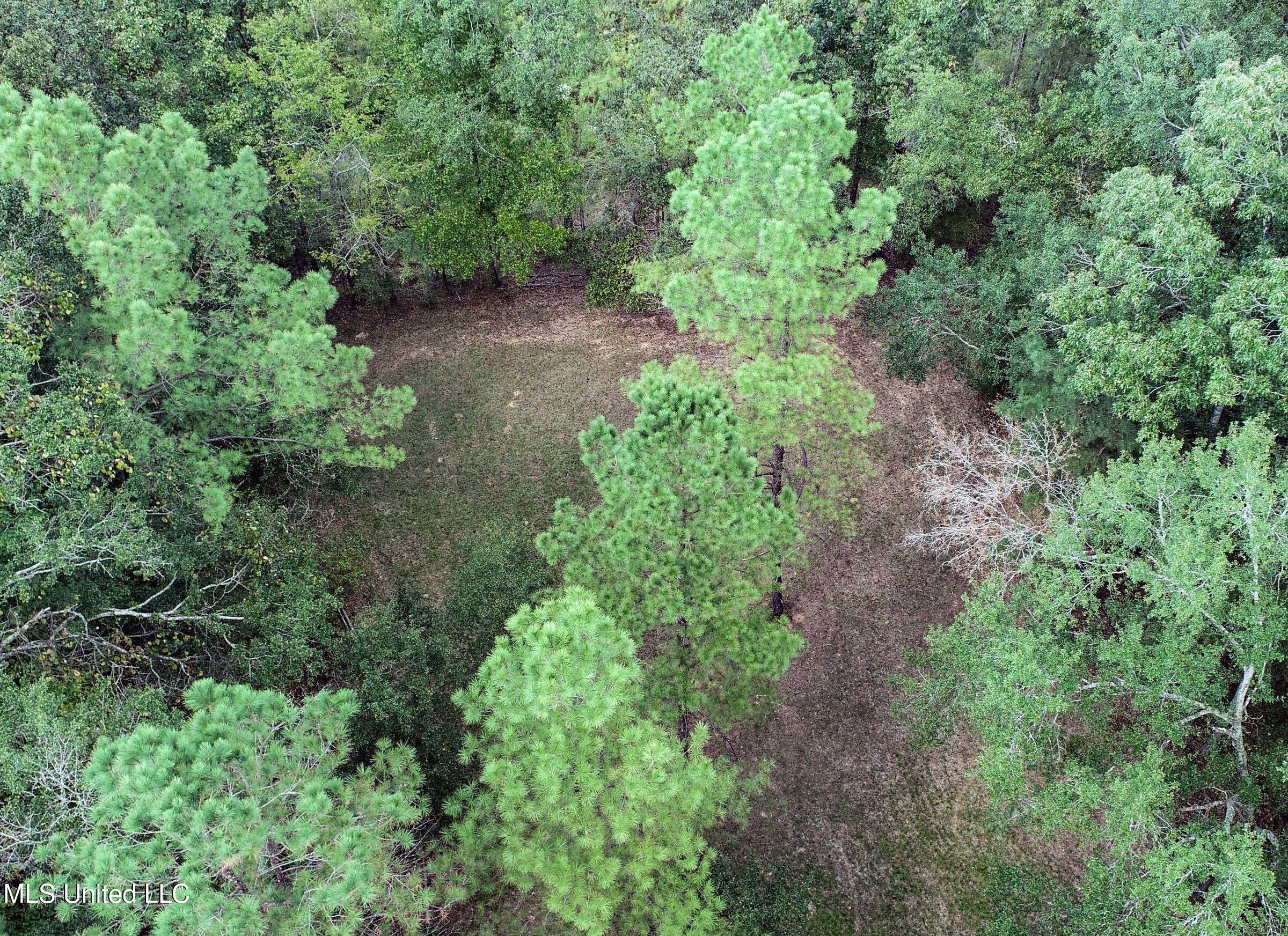 2378 John Warren Road Bolton, MS 39041 - Photo 13 of 153 3hinds17