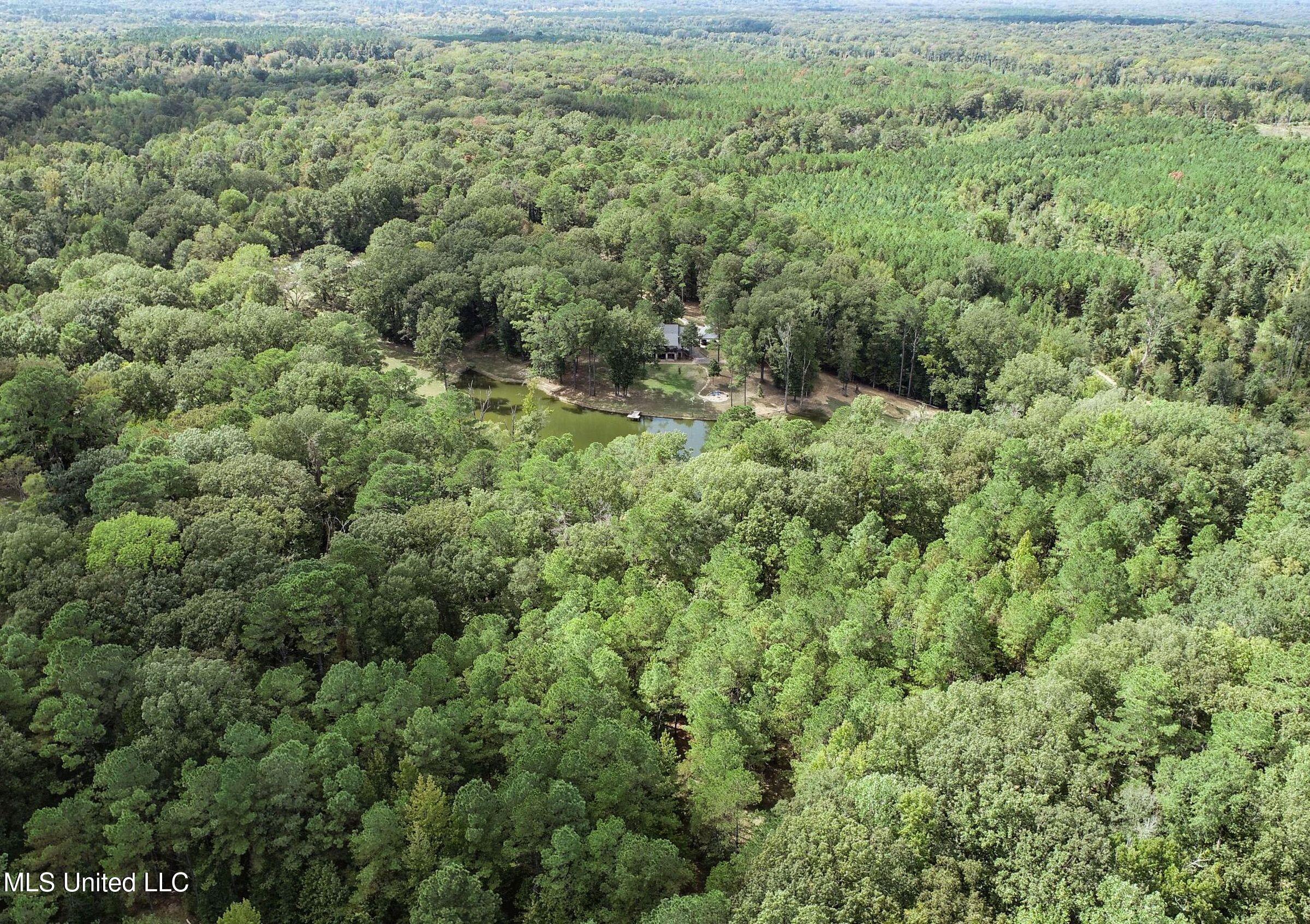 2378 John Warren Road Bolton, MS 39041 - Photo 14 of 153 3hinds19