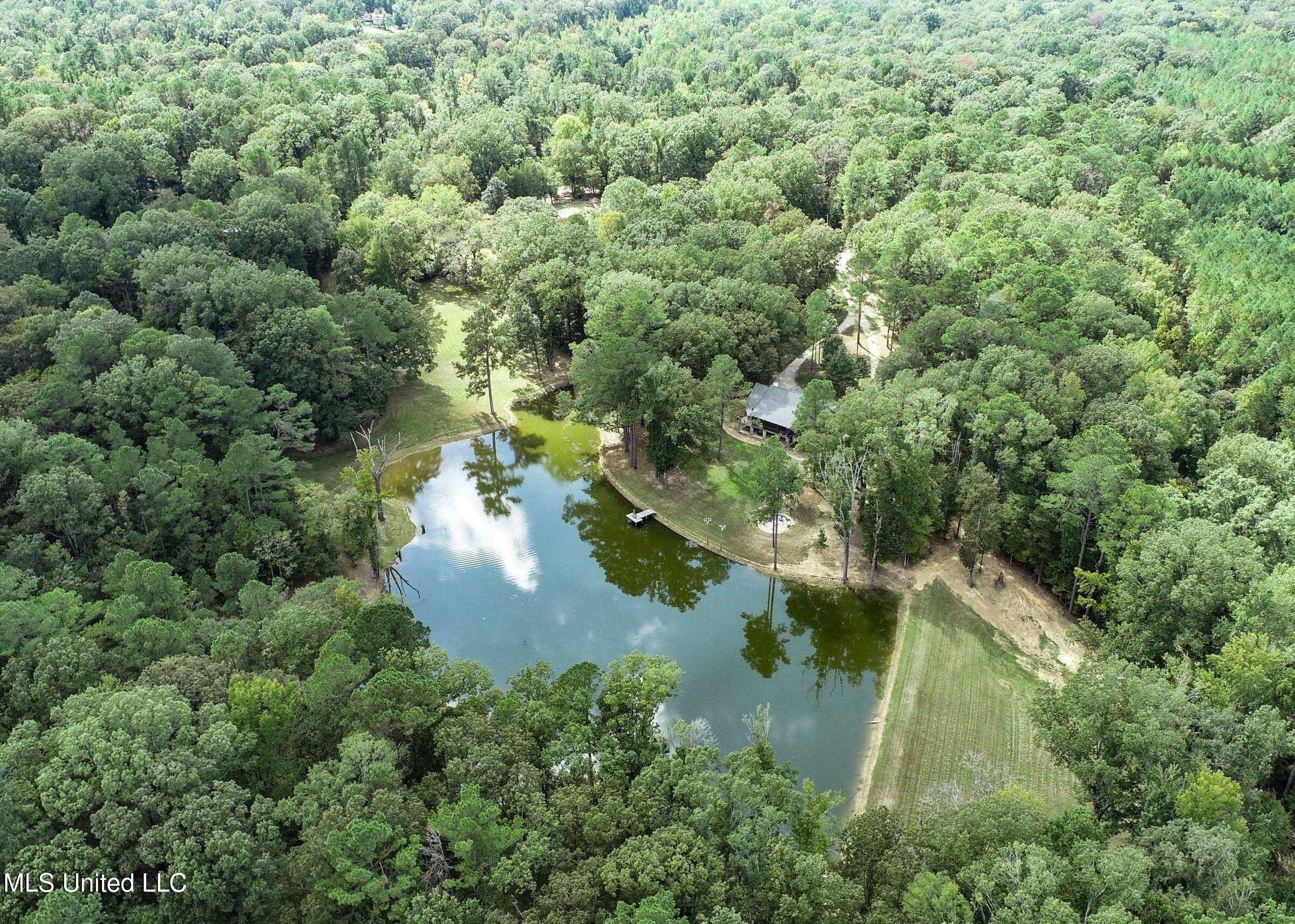 2378 John Warren Road Bolton, MS 39041 - Photo 15 of 153 3hinds23