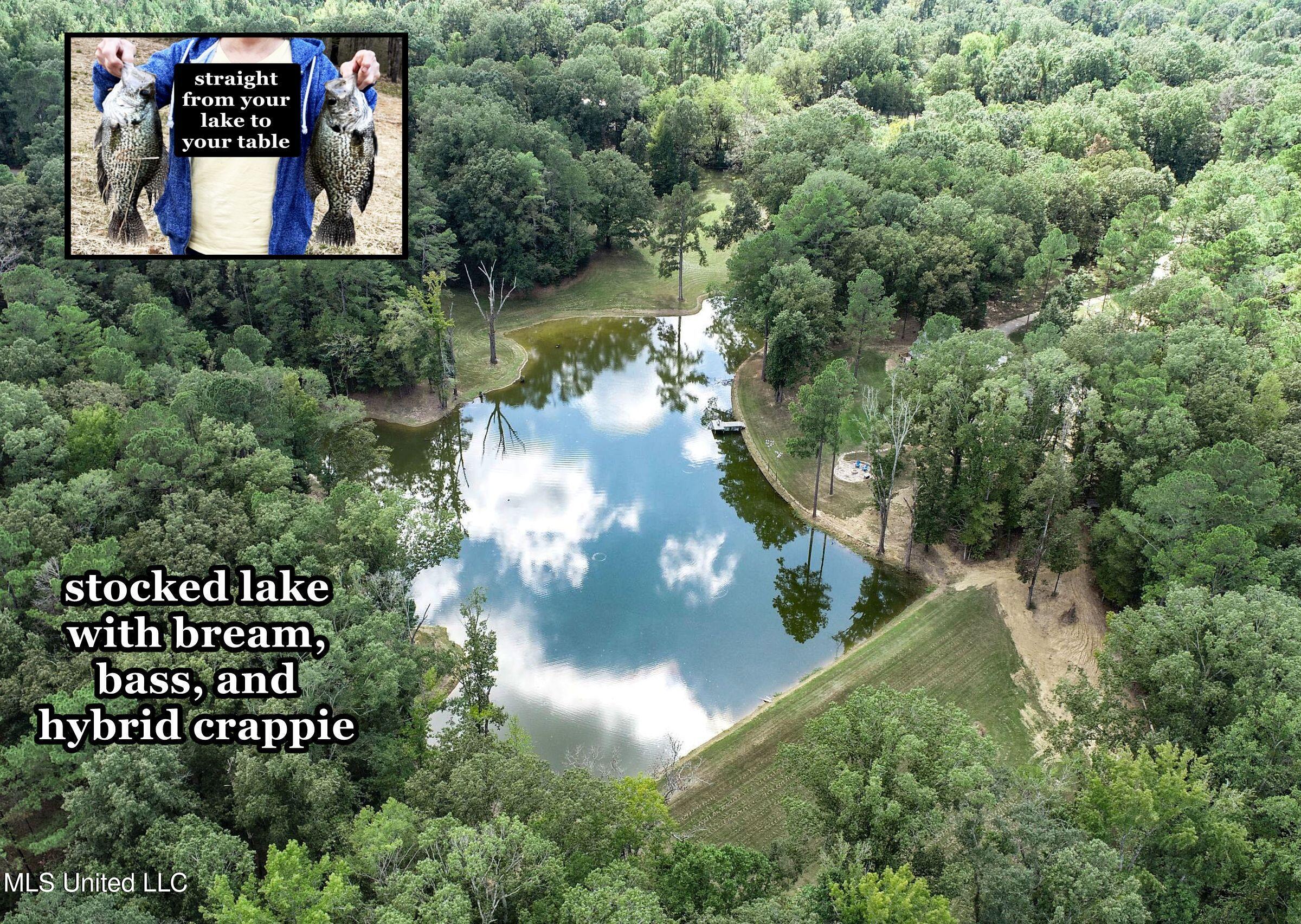 2378 John Warren Road Bolton, MS 39041 - Photo 16 of 153 3hinds24c