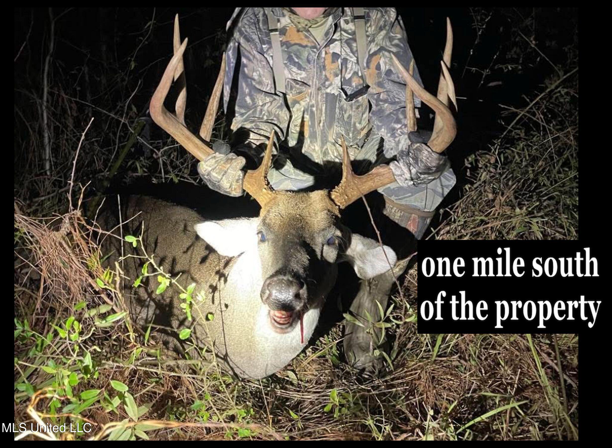 2378 John Warren Road Bolton, MS 39041 - Photo 3 of 153 bolton buck